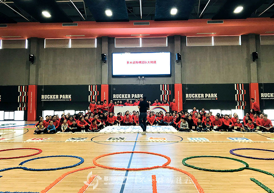 六載同行、魚躍龍門-工銀安盛多米諾團隊大挑戰