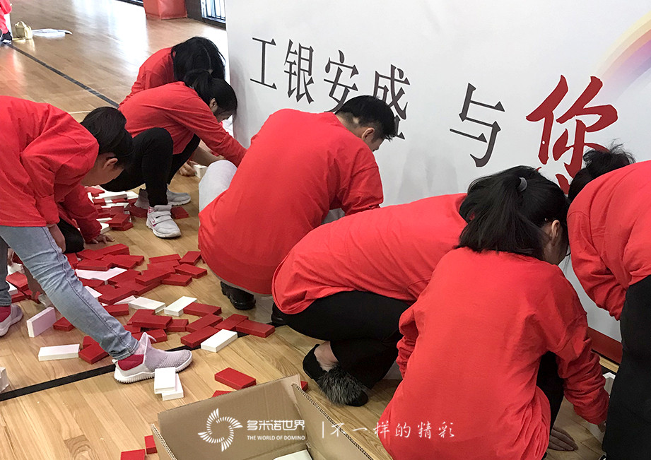 六載同行、魚躍龍門-工銀安盛多米諾團隊大挑戰