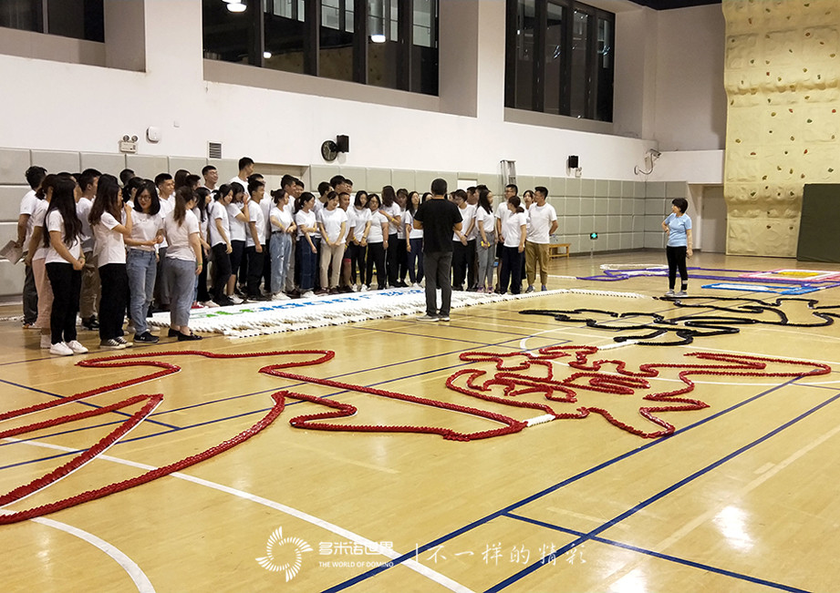 2019廣聯達新人訓“夜戰多米諾