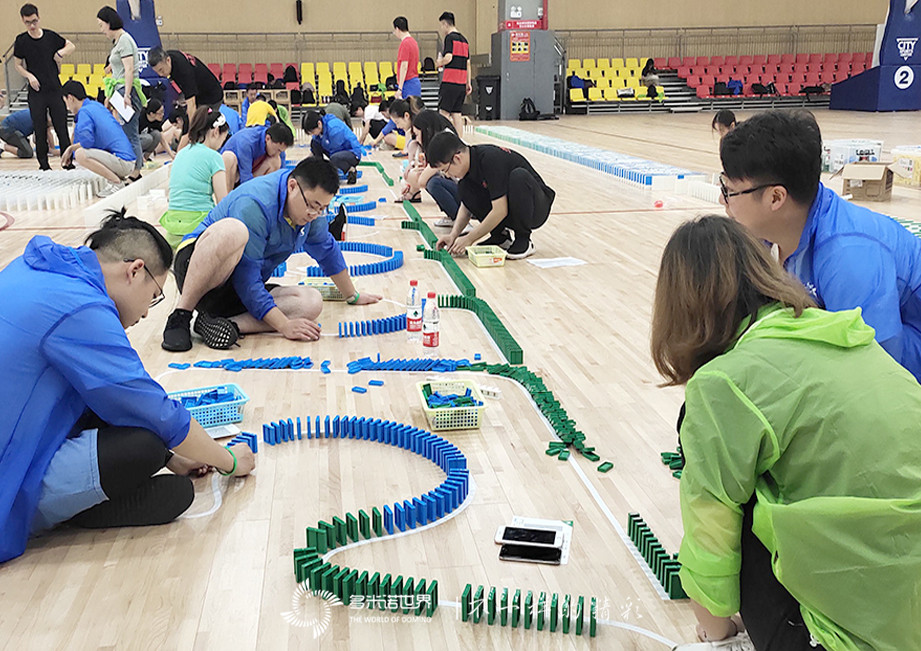 拜耳多米諾團隊大挑戰(zhàn)