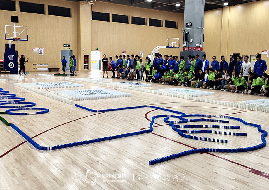 拜耳多米諾團隊大挑戰(zhàn)