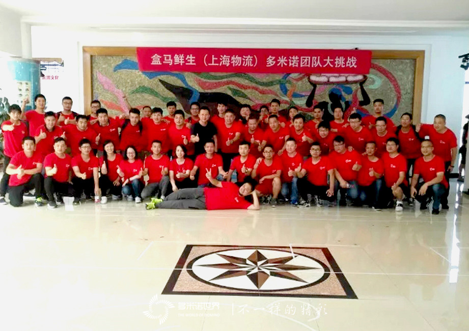 盒馬鮮生（上海物流）多米諾團隊大挑戰