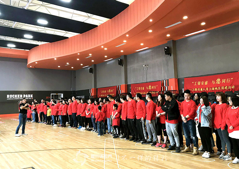 六載同行、魚躍龍門-工銀安盛多米諾團隊大挑戰