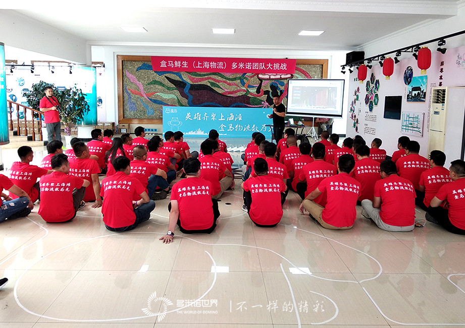 盒馬鮮生（上海物流）多米諾團隊大挑戰