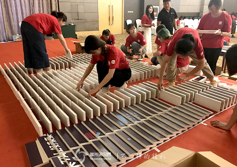 多米諾精彩綻放勵步英語NEW星暑期訓練營