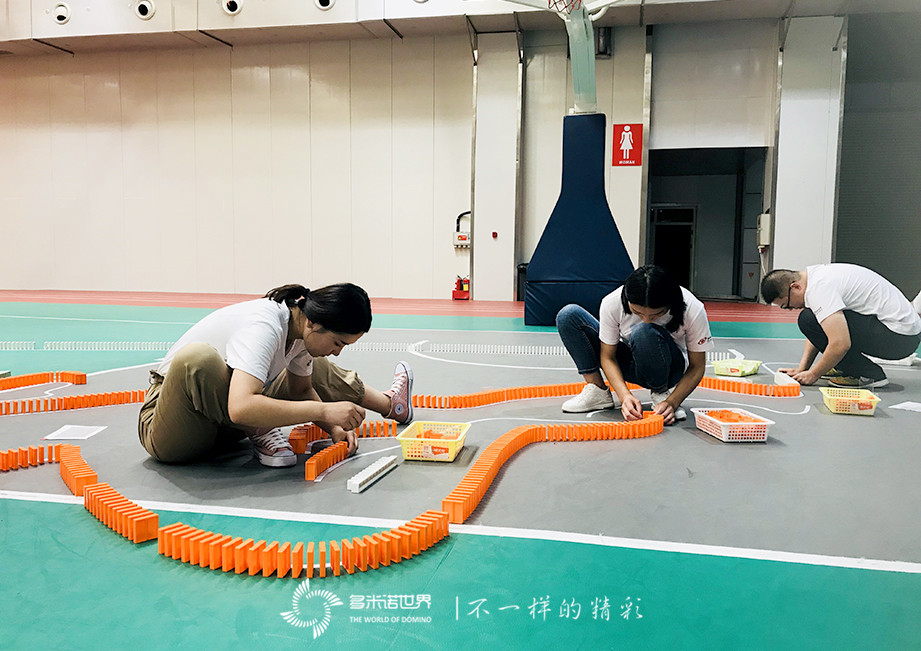 科捷新手訓練營-在多米諾世界成為更好的自己