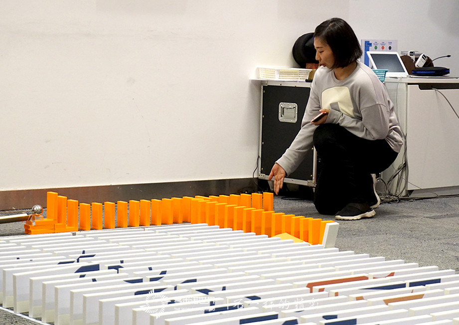 協作、團隊、共贏-諾華制藥TMO多米諾團隊大挑戰