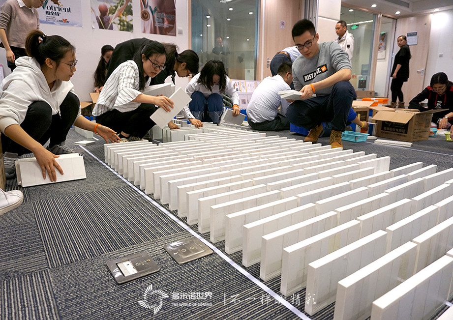 協作、團隊、共贏-諾華制藥TMO多米諾團隊大挑戰