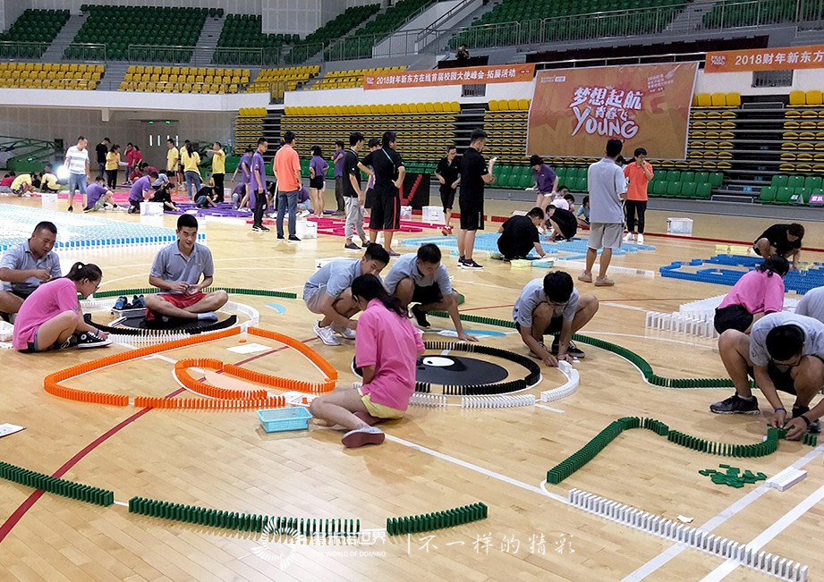 夢想啟航，青春飛young—新東方在線校園大使多米諾團隊大挑戰