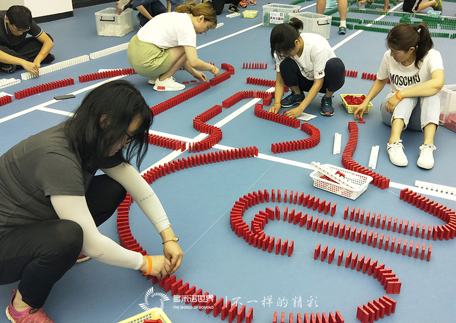 西門子多米諾團隊大挑戰