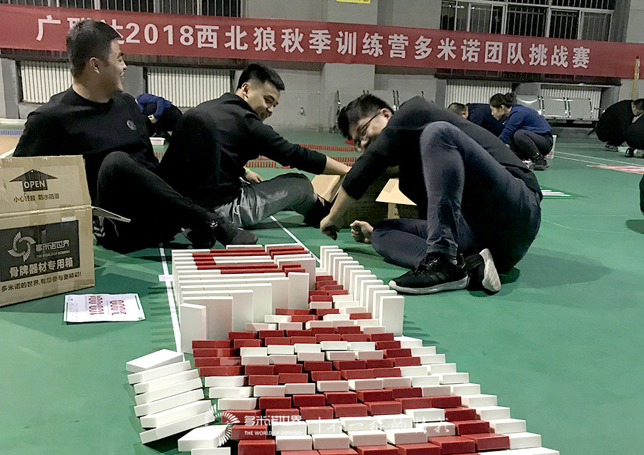 廣聯達2018西北狼秋季訓練營多米諾團隊大挑戰