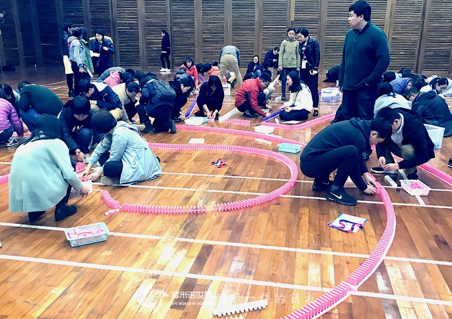 多米諾團隊大挑戰拉開默克FBU 2018年會序幕   