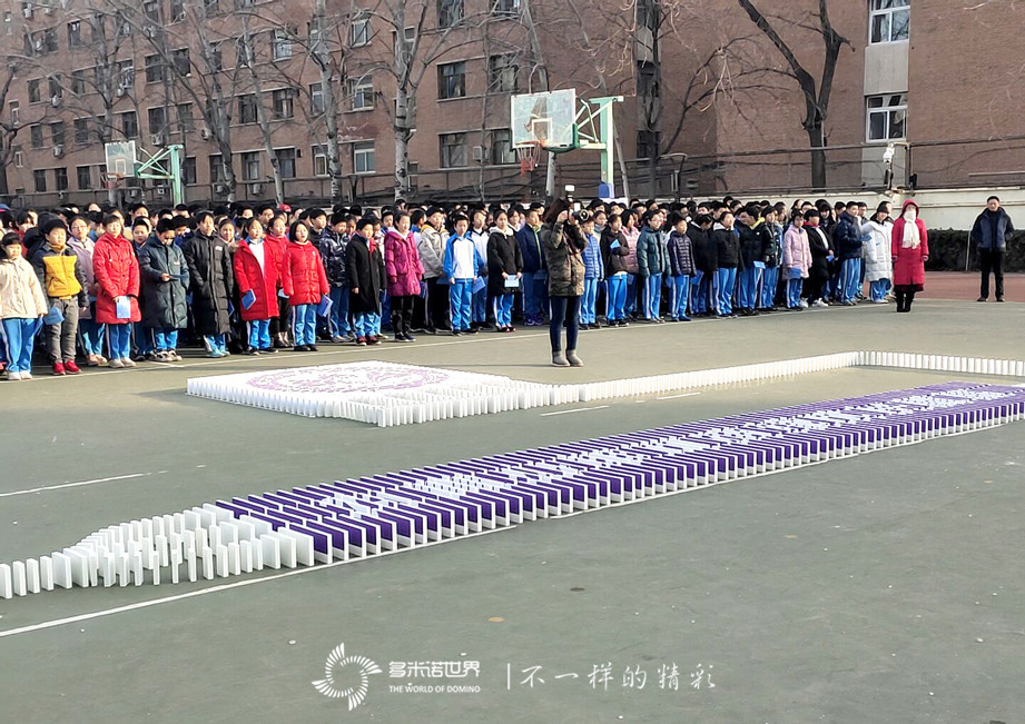 多米諾啟動石景山中學(xué)2020年校園科技節(jié)