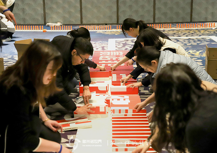 賽諾菲多米諾賀年會