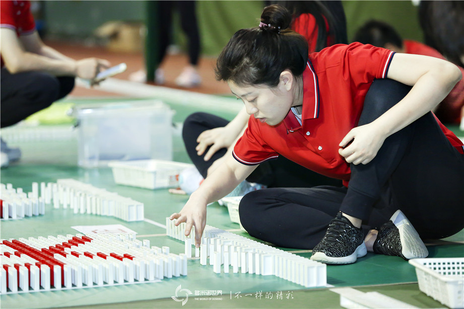 國新投資多米諾團隊大挑戰