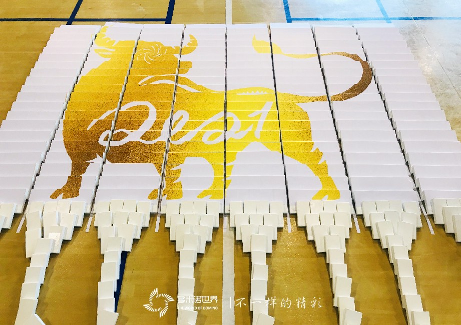 泰康資產晉升儀式——團隊共創智能方塊世界