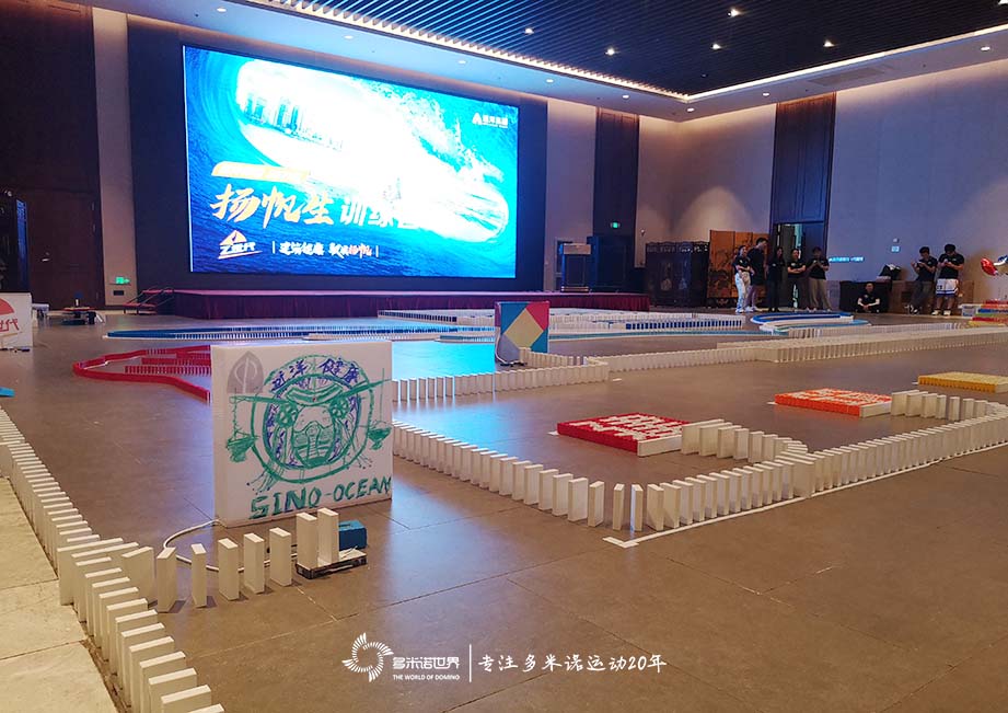 多米諾助力遠洋揚帆生訓練營再啟航