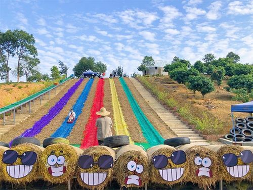 鳳崗農(nóng)業(yè)生態(tài)園 省級休閑農(nóng)業(yè)與鄉(xiāng)村旅游示范點(diǎn)的璀璨明珠