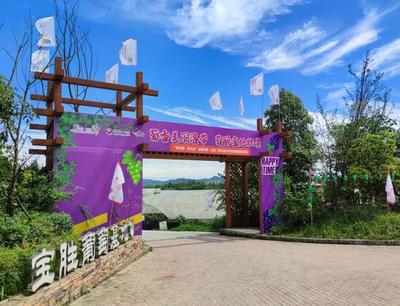 把課堂搬到泥土里，龍泉驛生態(tài)園打造校外勞動教育基地