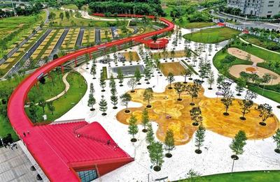綠網(wǎng)織城，公園筑夢(mèng) 260座公園星羅棋布，繪就生態(tài)光明新畫卷